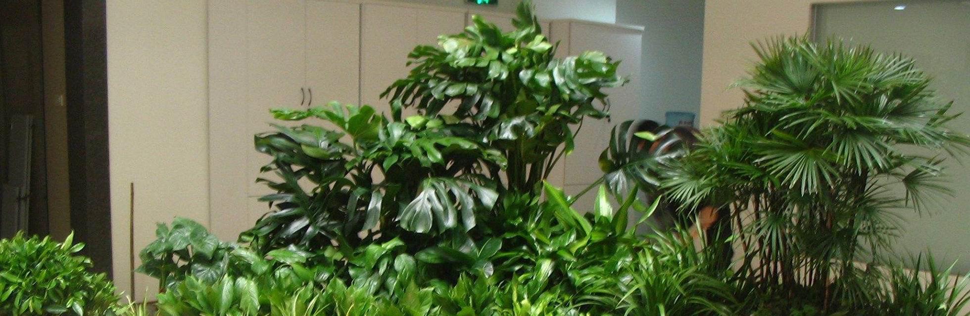 專業生產復合碳源、新型碳源、工業葡萄糖、液體葡萄糖